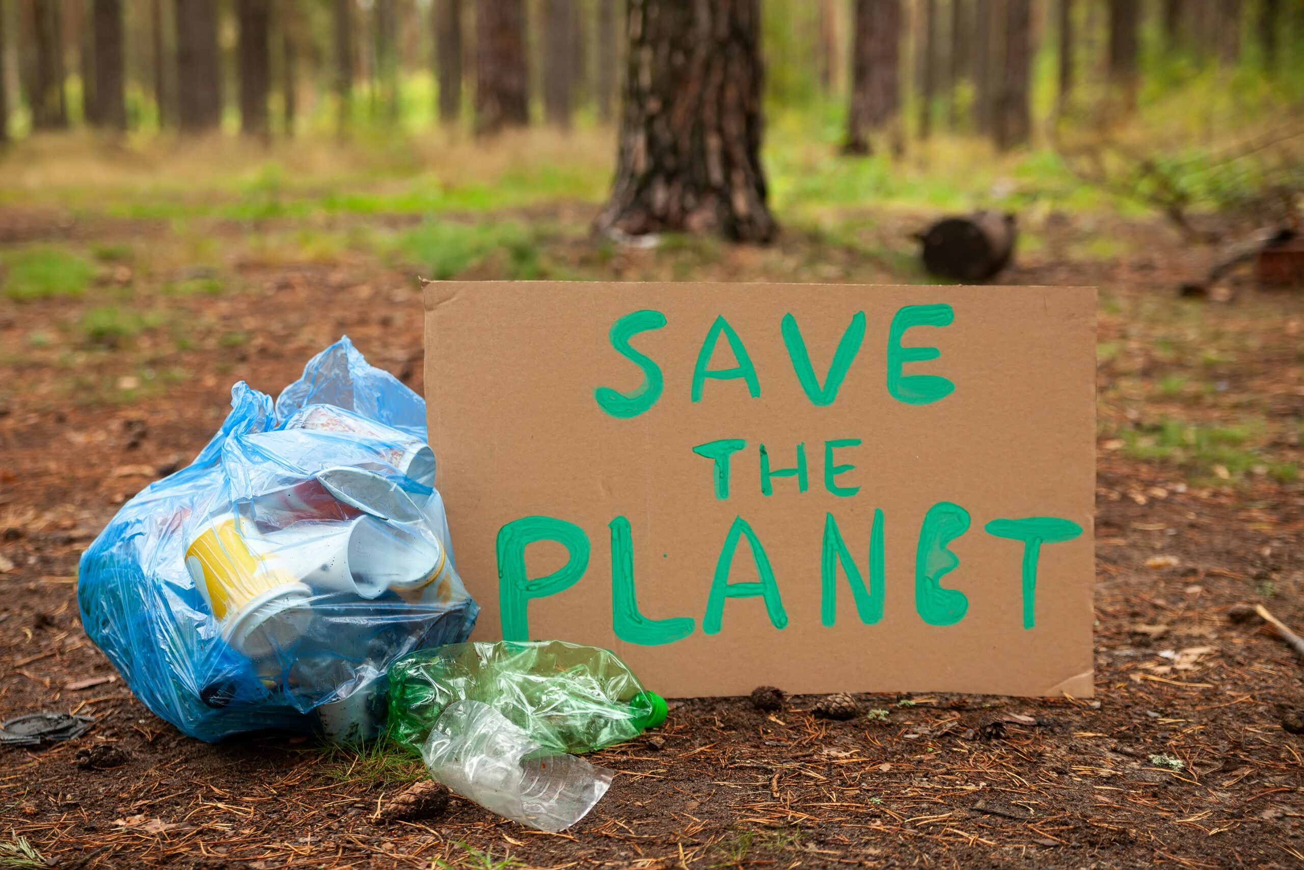 Environmental Stewardship