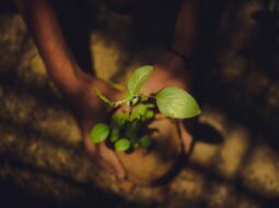 Growing Together How Environmental Stewardship Builds Stronger Communities